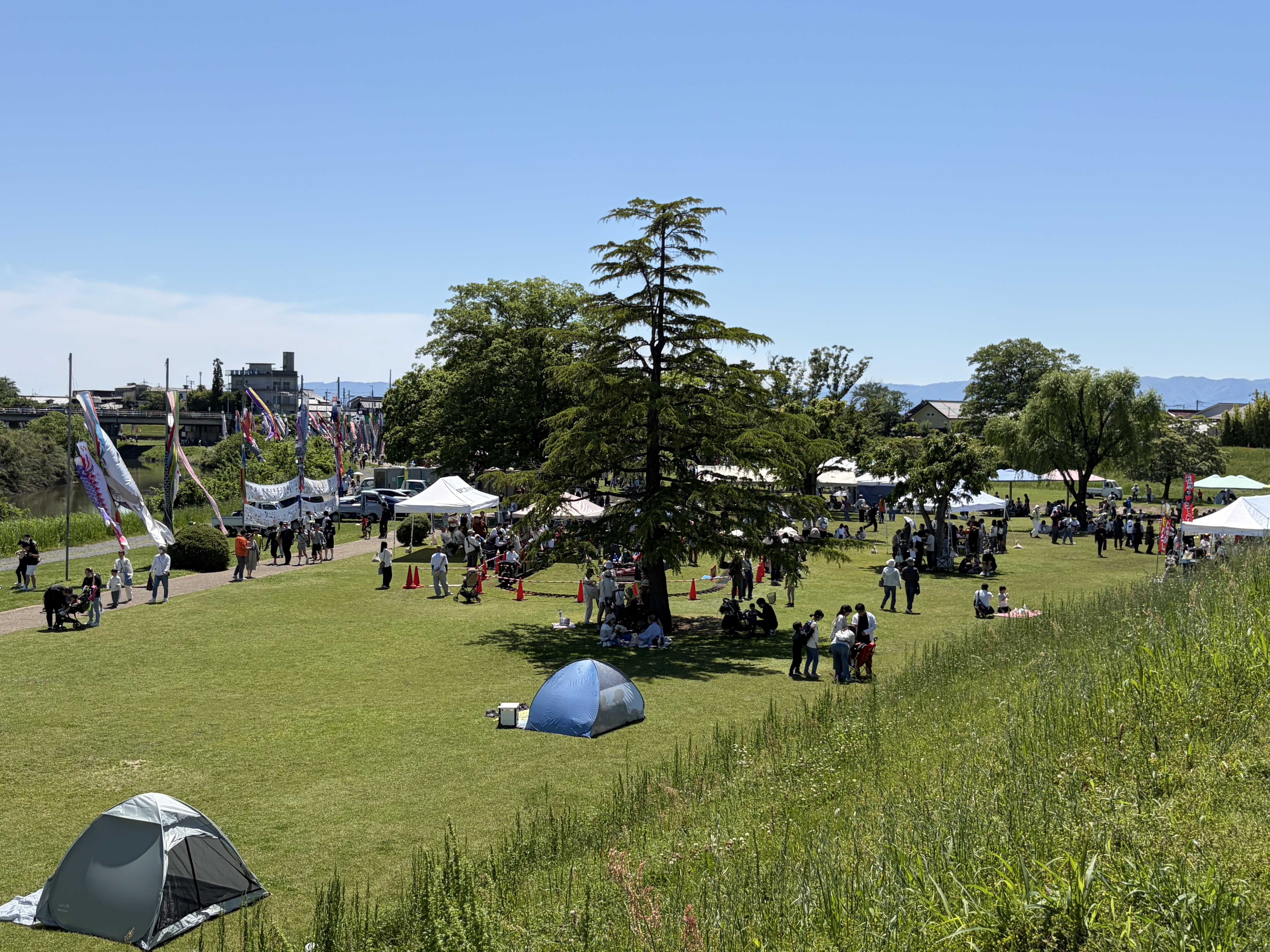 写真：緑道公園